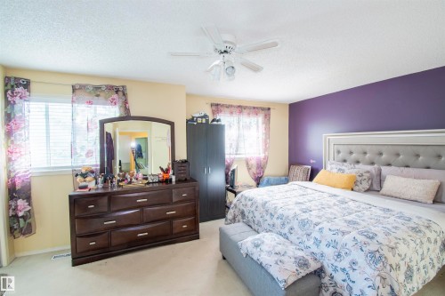 Bright room featuring white ceilings, a ceiling fan, and windows with blinds - 2 9703 174 Street, Edmonton, AB - Indoor Photo Showing Bedroom
