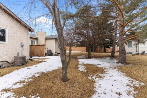 The property features an extensive yard with mature trees and a fenced perimeter - 5737 189 Street, Edmonton, AB - Outdoor