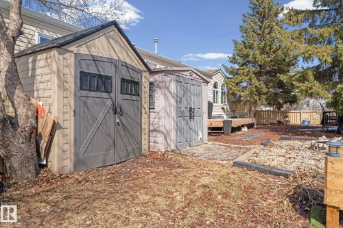The property features a backyard with two sheds, a wooden deck, and mature evergreen trees - 66 Evergreen Park, Edmonton, AB - Outdoor