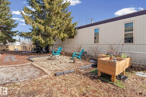 The property features a backyard with a chain-link fence, mature trees, and a designated fire pit area with gravel - 66 Evergreen Park, Edmonton, AB - Outdoor