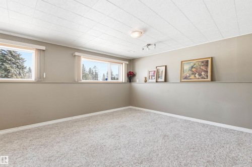 This spacious room features neutral-toned walls, light-colored carpet, and windows that provide views of trees - 12904 95 Street, Edmonton, AB - Indoor Photo Showing Other Room