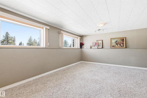 This versatile room features carpeted flooring, light-colored walls, and two windows providing views of trees - 12904 95 Street, Edmonton, AB - Indoor Photo Showing Other Room
