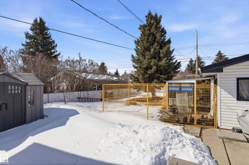 The property features a spacious rear yard with a storage shed and mature trees - 12904 95 Street, Edmonton, AB - Outdoor