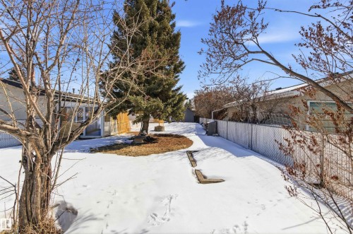 The property features a spacious yard with mature trees and a chain-link fence, offering clear views of the surroundings under a bright blue sky - 12904 95 Street, Edmonton, AB - Outdoor