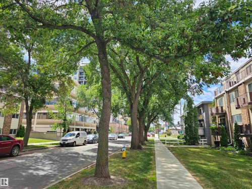The community features a sidewalk, mature trees, and well-maintained grassy areas - 8 10616 123 Street, Edmonton, AB - Outdoor
