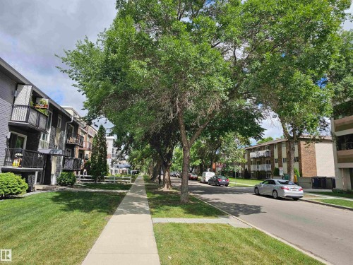 The property is located on a street lined with mature trees, offering a shaded sidewalk and a grassy verge - 8 10616 123 Street, Edmonton, AB - Outdoor