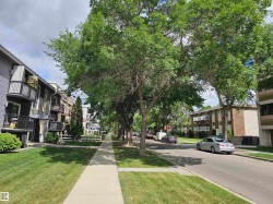 The property is located on a street lined with mature trees, offering a shaded sidewalk and a grassy verge - 