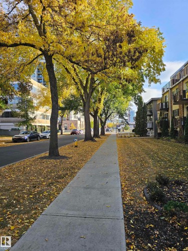 This property is situated in a location featuring a paved sidewalk, mature trees with yellow and green foliage, and a landscaped area with shrubs - 8 10616 123 Street, Edmonton, AB - Outdoor