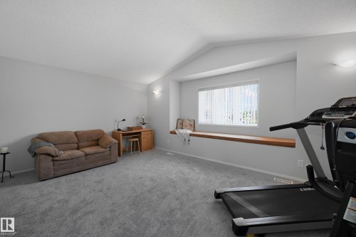 4960 191 Street, Edmonton, AB - Indoor Photo Showing Gym Room