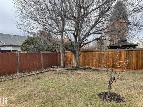 Spacious backyard featuring a large tree, a young tree, and a wooden fence - 9320 175 Street, Edmonton, AB - Outdoor