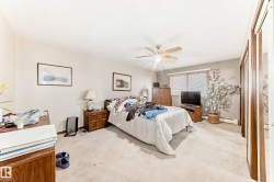 Spacious bedroom featuring neutral wall tones, carpet flooring, a ceiling fan with integrated lighting, and a window with a decorative security screen - 
