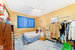 Bedroom featuring a ceiling fan with integrated lighting, wood-finish shelving unit, blue vertical blinds, and wall-to-wall carpeting - 