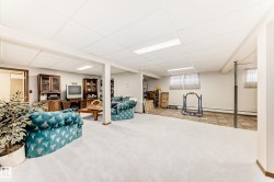 Spacious lower-level area featuring light-colored carpeting, drop ceiling with fluorescent lighting, and white support columns - 