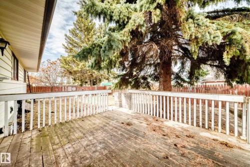 Exterior wood deck with white railing, featuring durable siding and mature evergreen trees - 208 Willow Crescent, Wetaskiwin, AB - Outdoor With Deck Patio Veranda