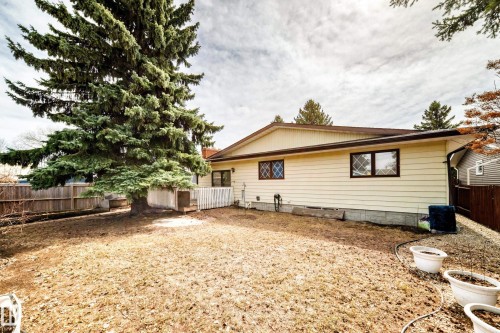 Spacious backyard featuring a substantial evergreen tree, wood fencing, and a small deck area - 208 Willow Crescent, Wetaskiwin, AB - Outdoor