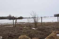 twp 655 RR185 Rural Athabasca County, AB T0A 0M0