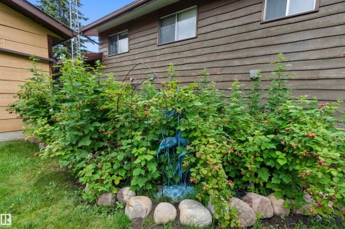 110 1St Avenue, Rural Wetaskiwin County, AB - Outdoor