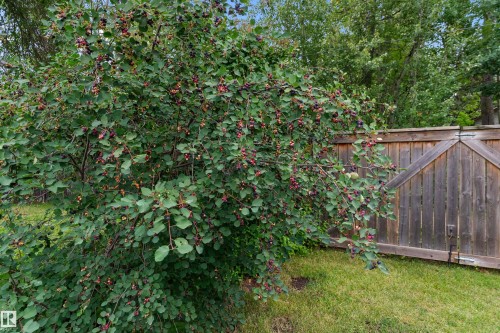 110 1St Avenue, Rural Wetaskiwin County, AB - Outdoor