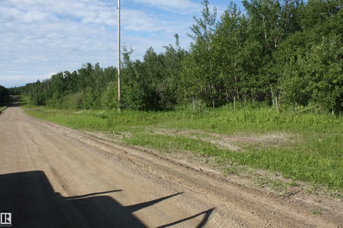 Expansive tree line bordering a dirt road, featuring dense green foliage and a utility pole - Twp  655 Rr 185, Rural Athabasca County, AB 
