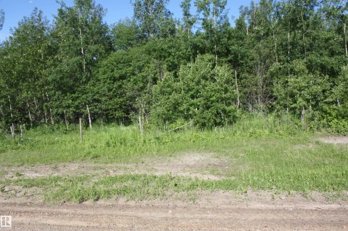 Natural landscape featuring a dense treeline and open grassy areas - Twp  655 Rr 185, Rural Athabasca County, AB 