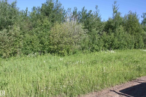 Expansive green field featuring varied flora and a distinct tree line - Twp  655 Rr 185, Rural Athabasca County, AB 