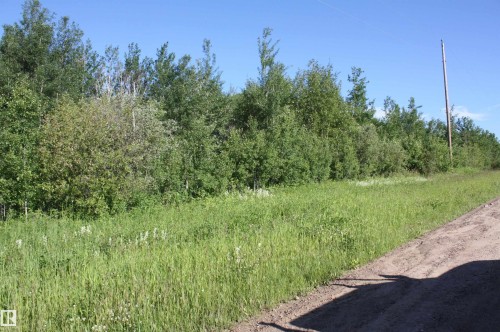Expansive undeveloped land featuring mature trees and lush green vegetation - Twp  655 Rr 185, Rural Athabasca County, AB 
