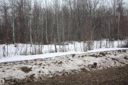 TWP  655 RR 185 Rural Athabasca County, AB T0A 0M0