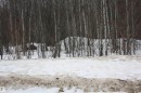 Image quality insufficient for description - Twp  655 Rr 185, Rural Athabasca County, AB 