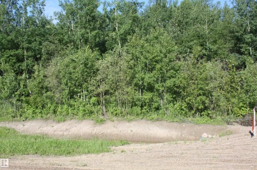 Wooded backdrop featuring diverse deciduous trees and abundant green foliage - Twp  655 Rr 185, Rural Athabasca County, AB 