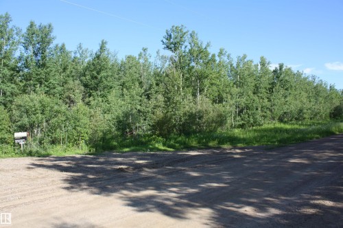 Wooded lot featuring mature trees and natural vegetation - Twp  655 Rr 185, Rural Athabasca County, AB 