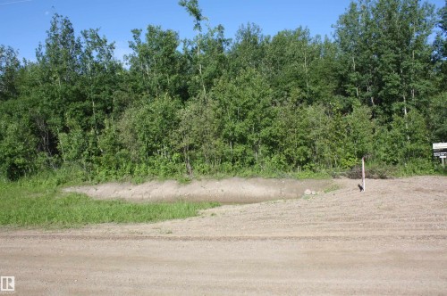Forested backdrop with mature deciduous trees - Twp  655 Rr 185, Rural Athabasca County, AB 