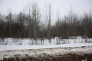 Image quality insufficient for description - Twp655 Rr185, Rural Athabasca County, AB 