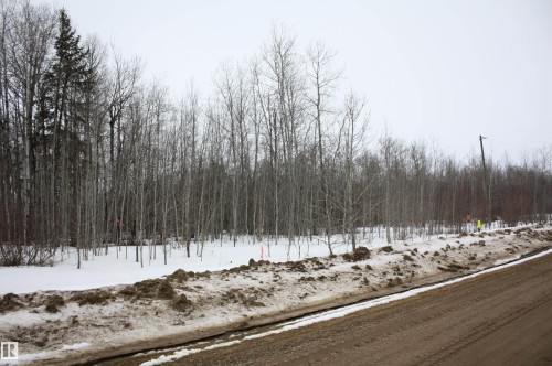 Wooded property featuring a mix of deciduous and coniferous trees, a snow-covered ground, and road frontage - Twp655 Rr185, Rural Athabasca County, AB 