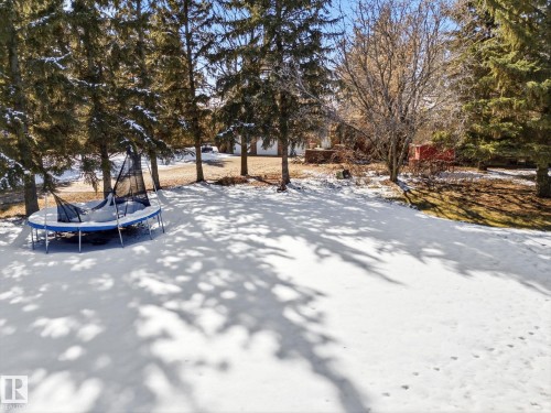 Spacious outdoor area featuring mature evergreen trees and a bare deciduous tree - 25750 18 Street, Edmonton, AB - Outdoor With View