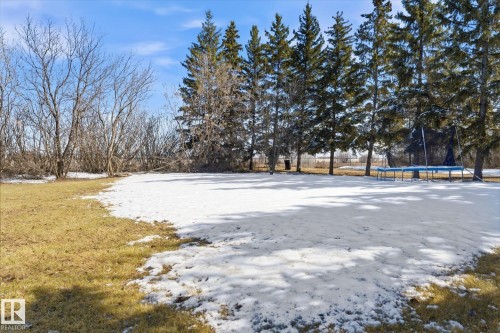 Expansive grassy area partially covered with snow, featuring mature evergreen trees along the perimeter and additional deciduous trees - 25750 18 Street, Edmonton, AB - Outdoor With View