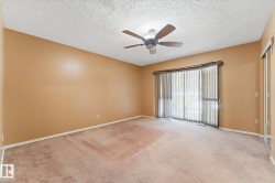 Room featuring carpet flooring, painted walls, a textured ceiling, a ceiling fan with light fixture, and a large window with vertical blinds - 