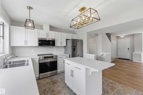 2003 71 Street, Edmonton, AB - Indoor Photo Showing Kitchen With Double Sink