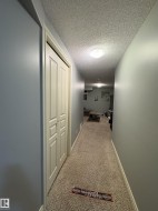 Hallway with neutral gray walls, carpeted flooring, and a flush-mount ceiling light fixture - 