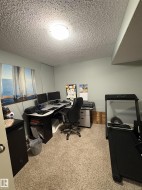 Carpeted room featuring a drop ceiling, flush-mount lighting, and painted walls - 