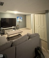 Carpeted living space with light gray walls - 