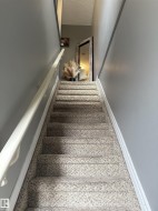 Carpeted staircase featuring a light-colored handrail and gray wall paint - 