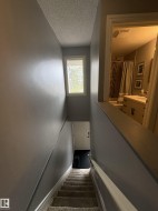 Carpeted staircase with white handrail and trim - 