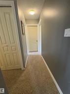 Carpeted hallway featuring a ceiling-mounted light fixture, painted walls, and white trim - 