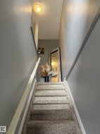 Carpeted staircase featuring a light-colored handrail and neutral wall tones - 