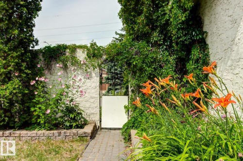 Garden pathway featuring brick paver flooring and a decorative metal gate - 11707 29 Avenue Nw, Edmonton, AB - Outdoor