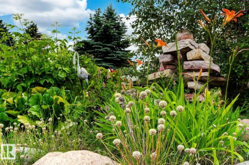 Landscaped garden featuring diverse foliage, sculptural rock elements, and blooming orange daylilies - 11707 29 Avenue Nw, Edmonton, AB - Outdoor