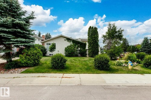 Exterior featuring a light-colored facade with climbing greenery and a prominent evergreen tree - 11707 29 Avenue Nw, Edmonton, AB - Outdoor