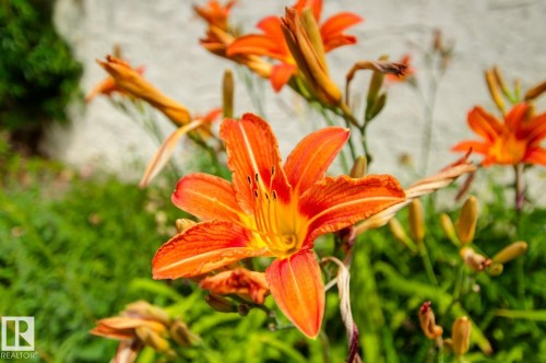 Image quality insufficient for description - 11707 29 Avenue Nw, Edmonton, AB - Outdoor