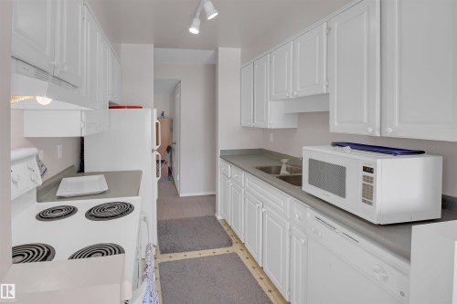 201 11445 41 Avenue, Edmonton, AB - Indoor Photo Showing Kitchen