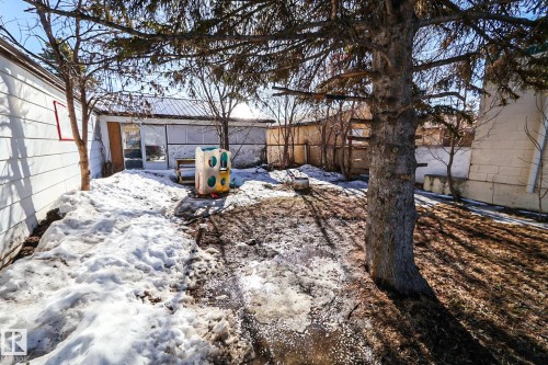 Mature evergreen tree anchoring a partially snow-covered backyard - 4114 Main Street, Ashmont, AB - Outdoor